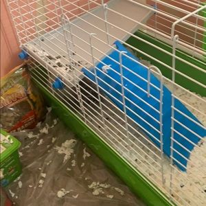 Rabbit with cage for sell comes with food ,water